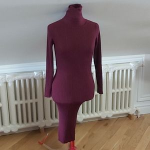 3for $30 Sexy plum  turtleneck knit dress